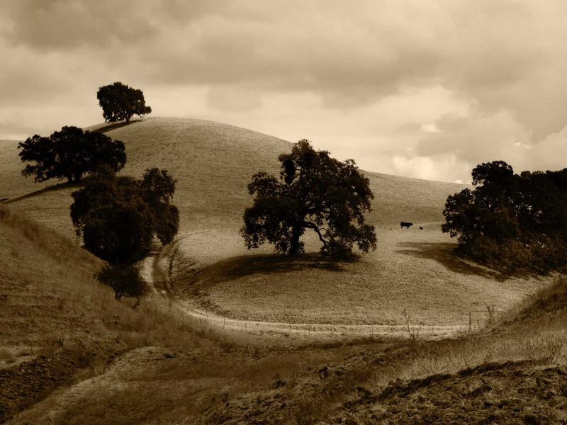 sudoku multiplayer mode screenshot 3