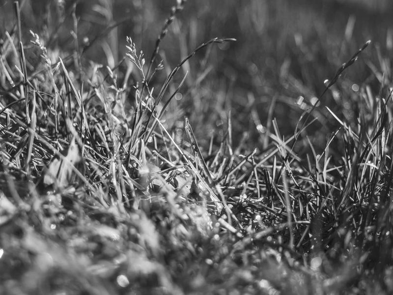 sudoku multiplayer mode screenshot 2